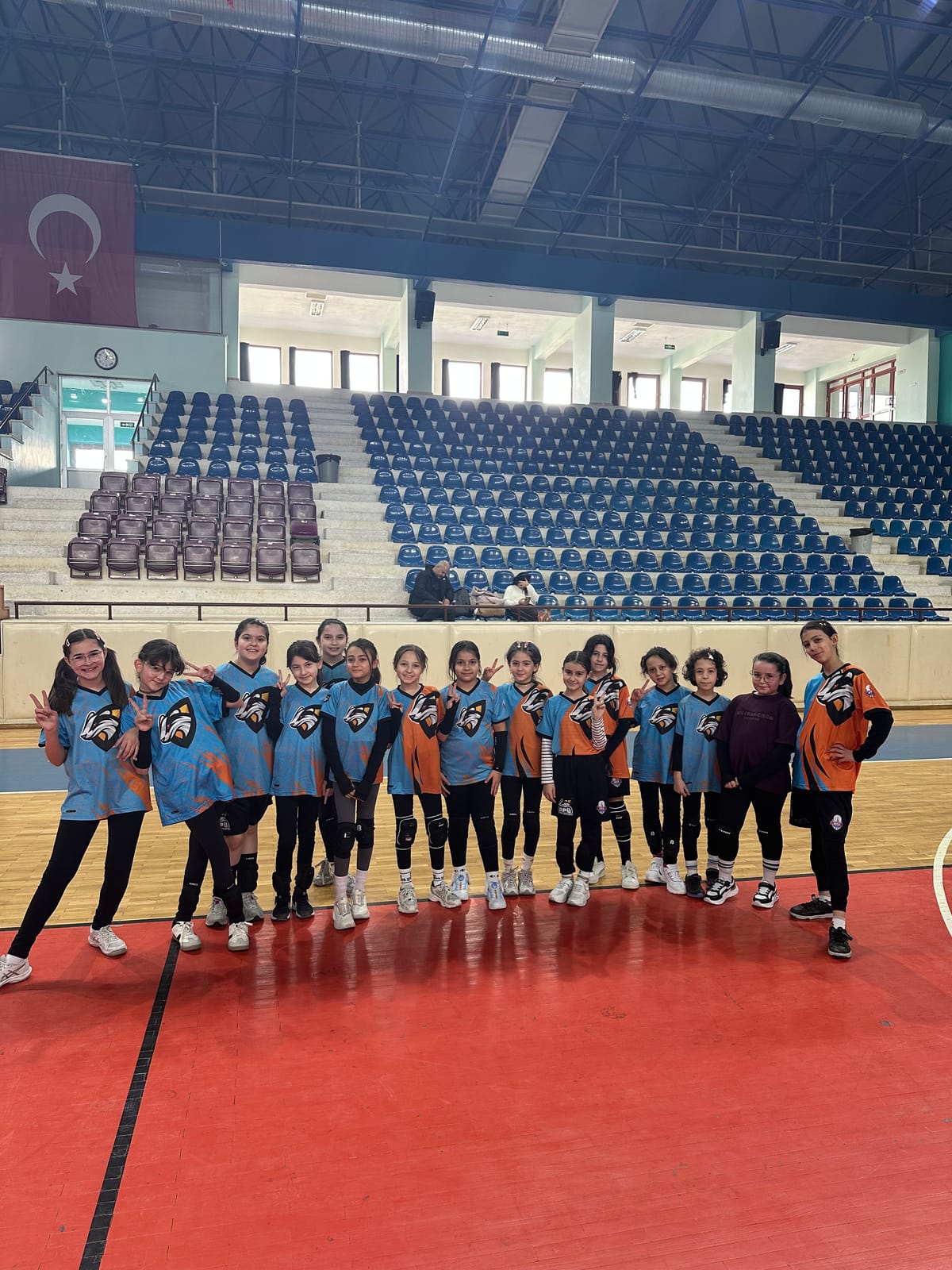 DPÜ Voleybol Takım
